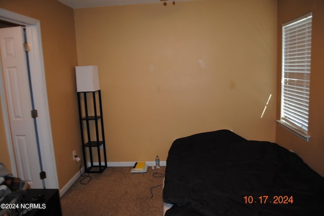 bedroom featuring carpet