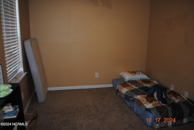 unfurnished bedroom featuring carpet floors