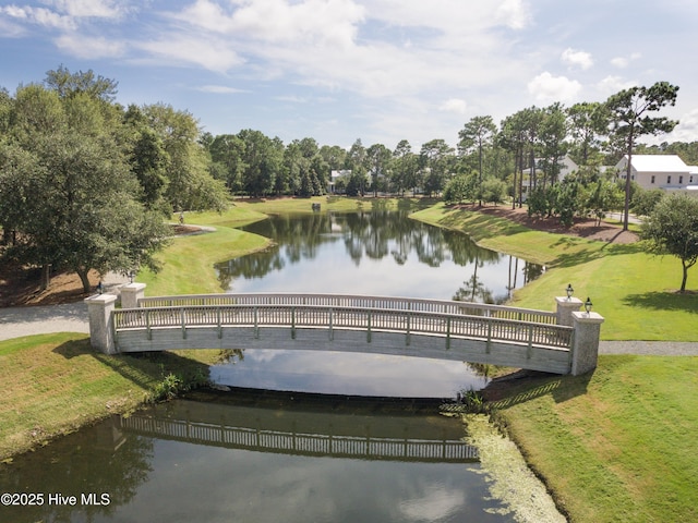 5312 Hanahan Dr, Wilmington, NC 28403 - water view featuring a tree filled landscape