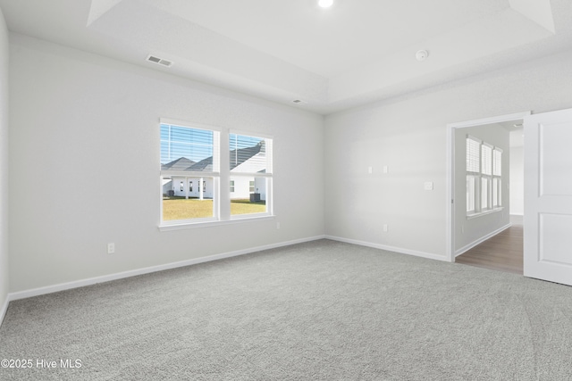 carpeted empty room featuring a raised ceiling