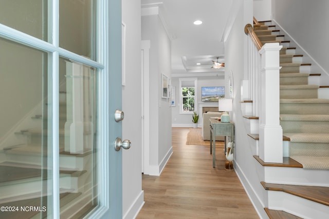 entrance foyer with ceiling fan, ornamental molding, and light hardwood / wood-style flooring