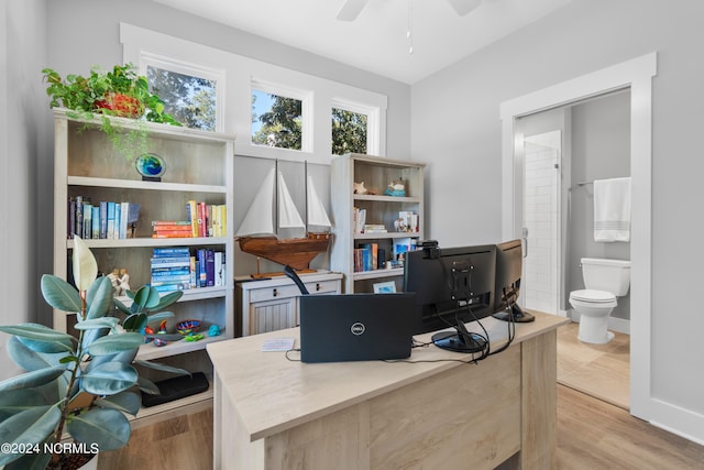 office with ceiling fan and light hardwood / wood-style flooring