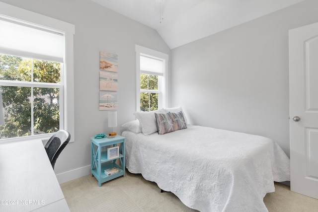 bedroom with lofted ceiling and carpet flooring