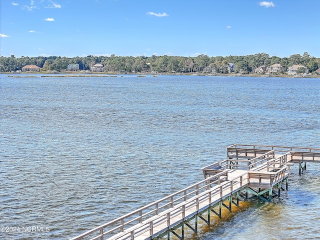 dock area featuring a water view