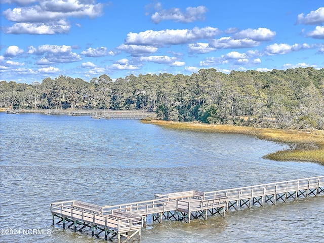 dock area with a water view