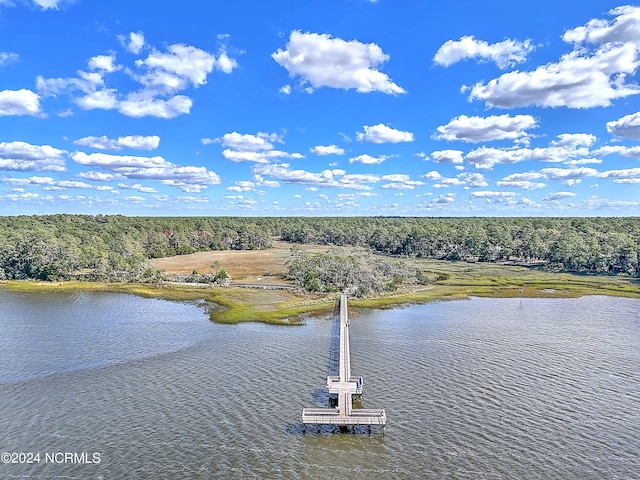 view of water feature with a boat dock