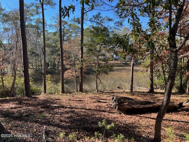 view of local wilderness