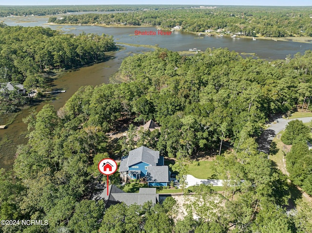 aerial view with a water view and a wooded view