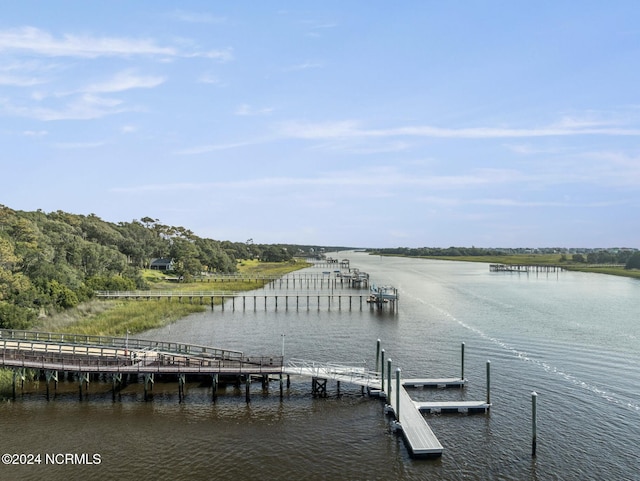 dock area with a water view