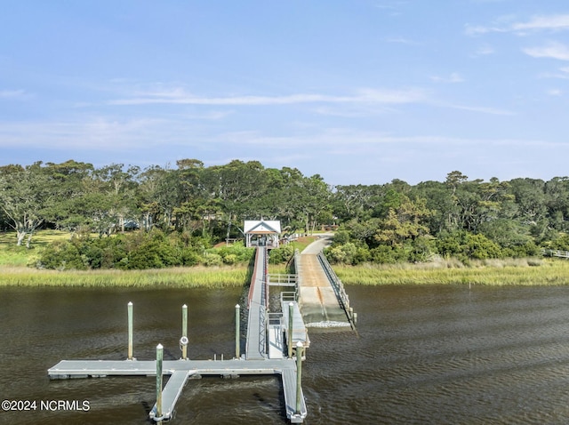 dock area with a water view