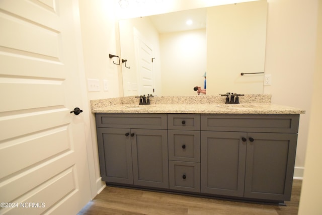 bathroom with vanity and wood-type flooring