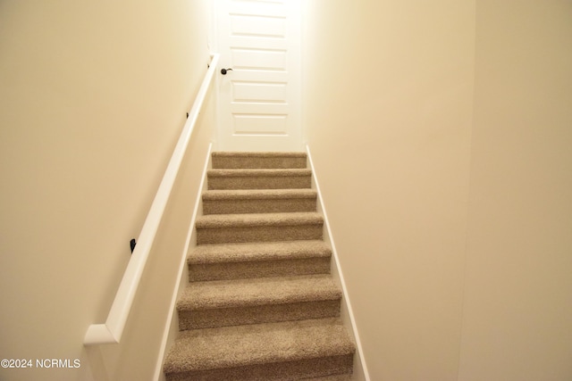 staircase with carpet flooring