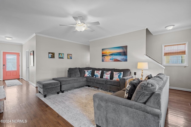 living room with crown molding, a healthy amount of sunlight, and dark hardwood / wood-style flooring