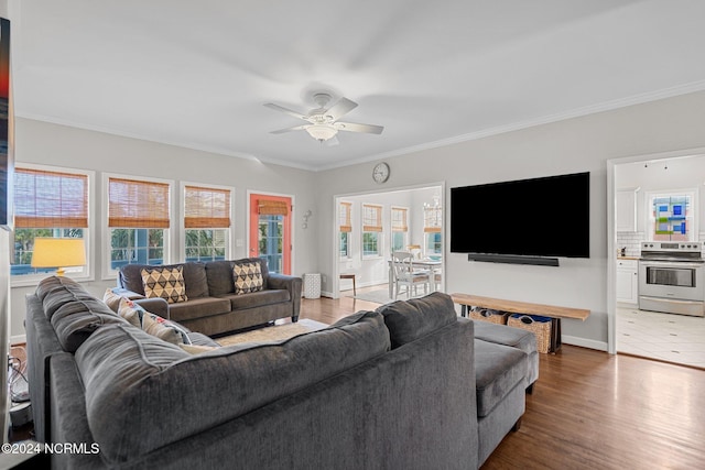 living room with hardwood / wood-style flooring, a healthy amount of sunlight, ornamental molding, and ceiling fan