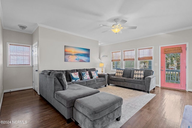 living room featuring crown molding, ceiling fan, and dark hardwood / wood-style flooring