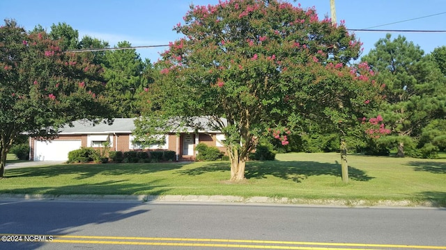 view of front of home with a front yard