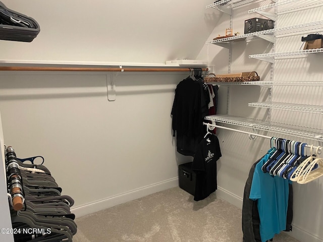 spacious closet with light carpet