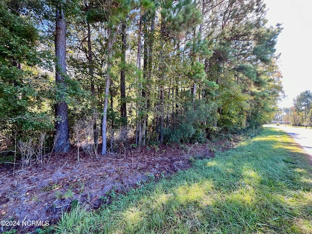 Listing photo 2 for 00 Liberty Park Rd, Jacksonville NC 28540