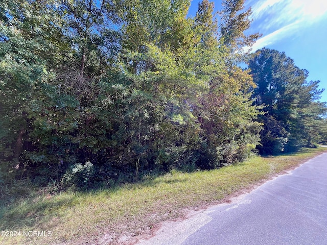 Listing photo 3 for 00 Liberty Park Rd, Jacksonville NC 28540