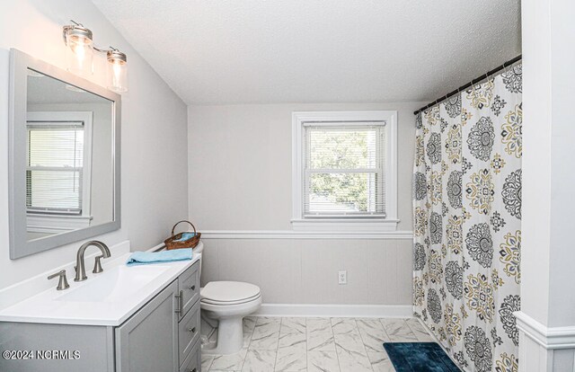 bathroom featuring vanity, toilet, a textured ceiling, and wooden walls