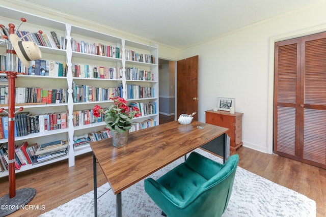 office area featuring wood-type flooring