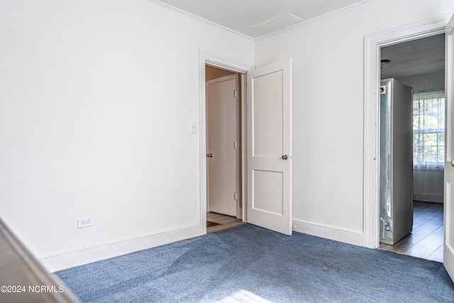 empty room featuring ornamental molding and carpet floors