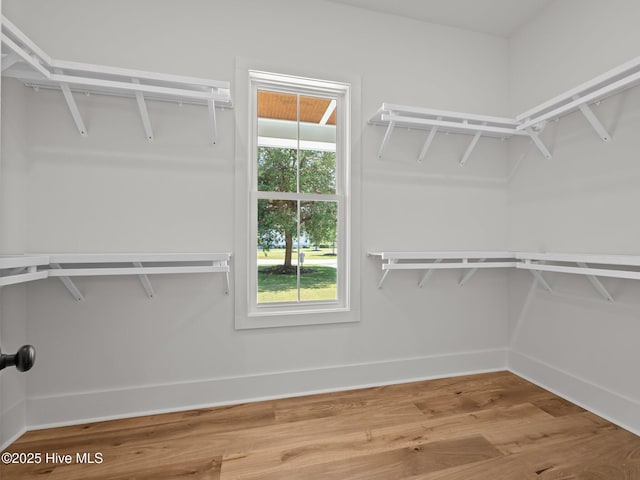 103 Cumberland St, Newport, NC 28570 - spacious closet with wood finished floors
