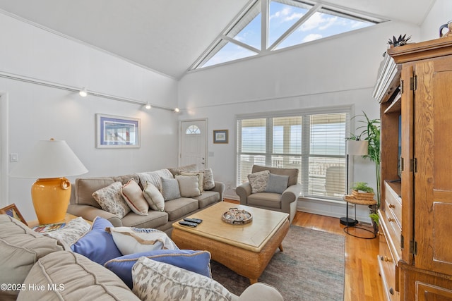 living room featuring wood-type flooring and high vaulted ceiling