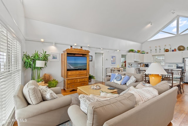 living room featuring high vaulted ceiling and light hardwood / wood-style flooring