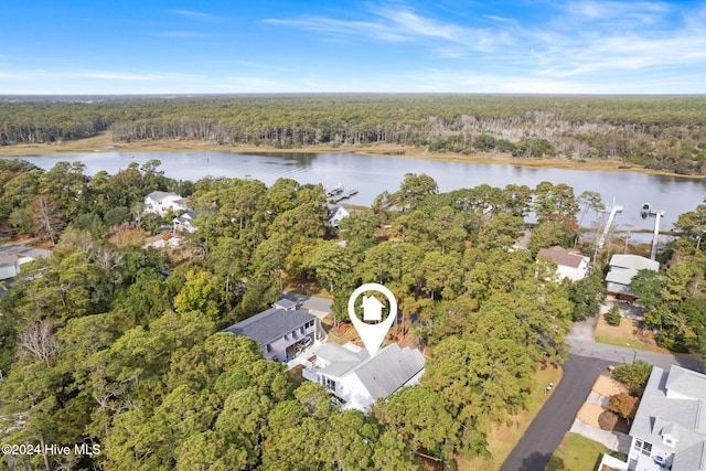 bird's eye view with a water view and a wooded view