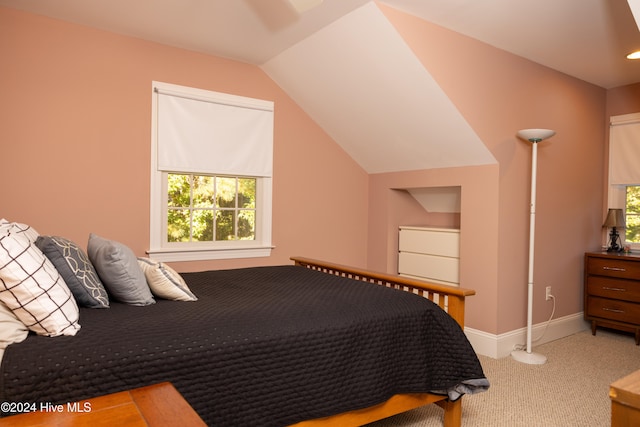 bedroom featuring lofted ceiling, carpet, and multiple windows