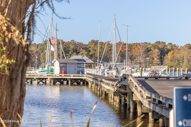 dock area with a water view