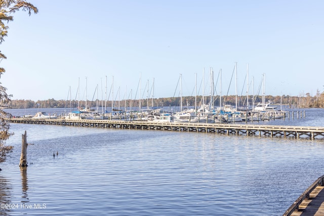 dock area with a water view