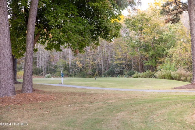 view of community with a yard