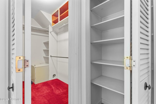 124 N Lisk Dr, Swansboro, NC 28584 - view of walk in closet