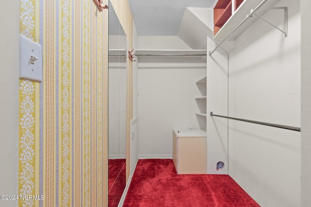 walk in closet with carpet