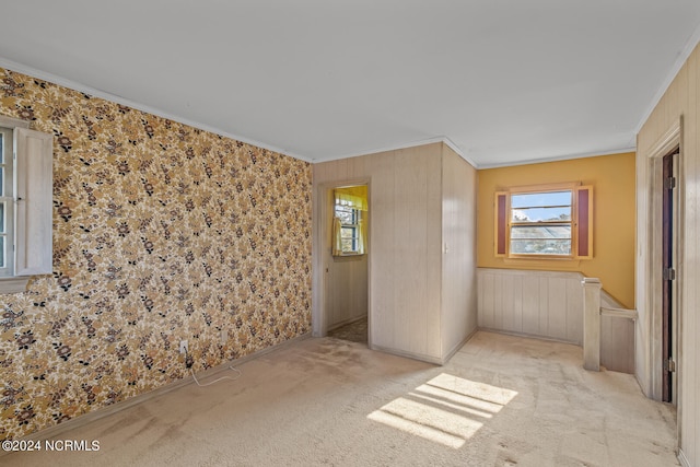 carpeted empty room with wood walls and ornamental molding