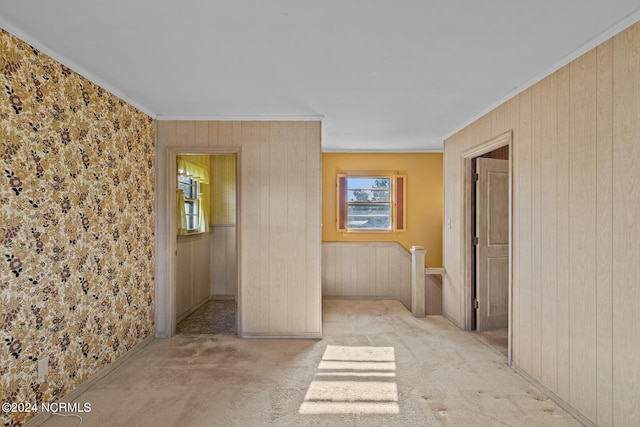 hallway with crown molding, wooden walls, and light colored carpet