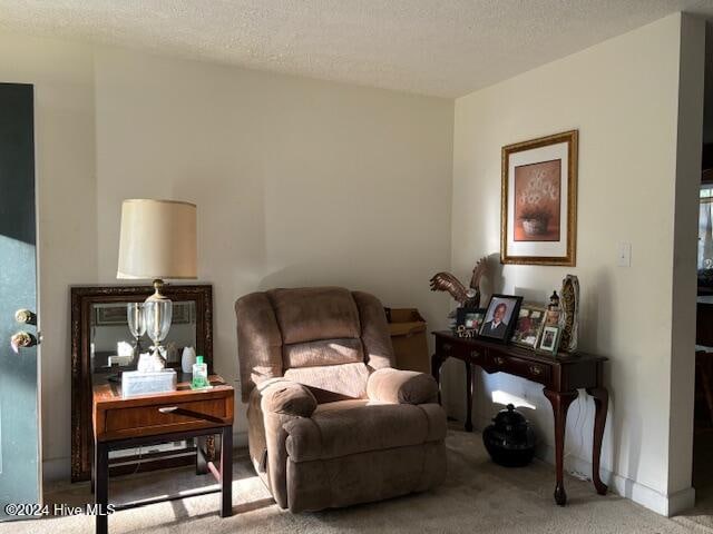 living area with carpet and a textured ceiling