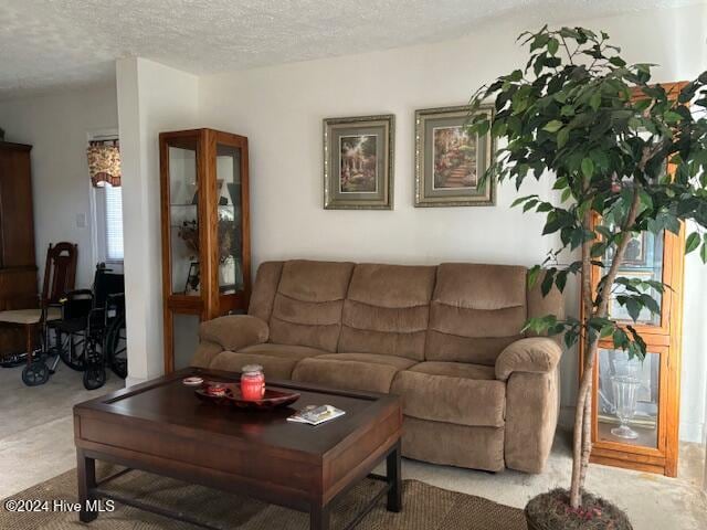 carpeted living room featuring a textured ceiling