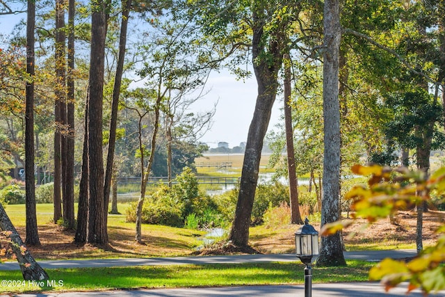 view of community featuring a water view