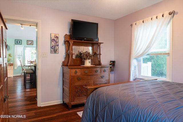 bedroom featuring multiple windows and dark hardwood / wood-style flooring