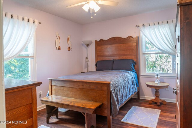 bedroom featuring a textured ceiling, ceiling fan, multiple windows, and dark hardwood / wood-style flooring