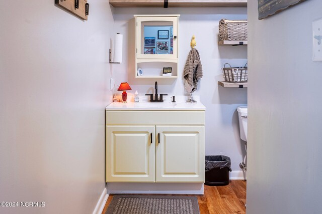 bathroom featuring vanity, toilet, and wood-type flooring