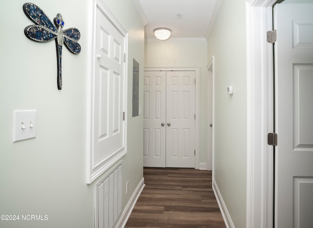 corridor with ornamental molding, electric panel, and dark hardwood / wood-style flooring