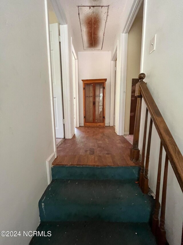 staircase featuring hardwood / wood-style floors