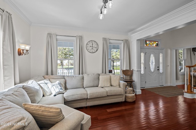 living room with ornamental molding, a healthy amount of sunlight, and dark hardwood / wood-style flooring