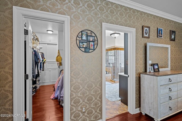 hallway featuring ornamental molding and dark wood-type flooring