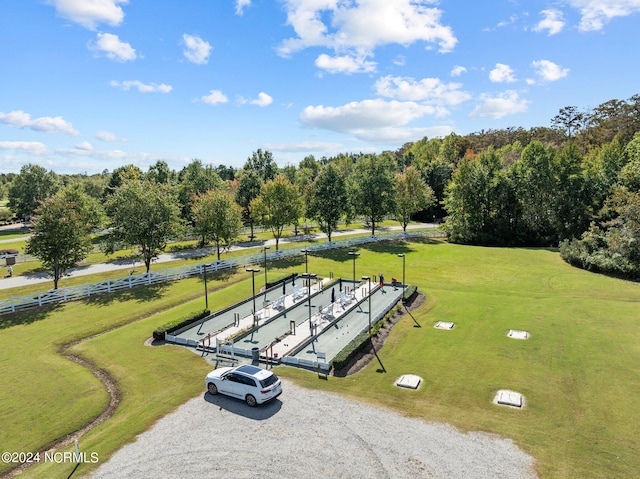 view of community with a yard