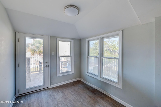 doorway with hardwood / wood-style flooring, a healthy amount of sunlight, and lofted ceiling